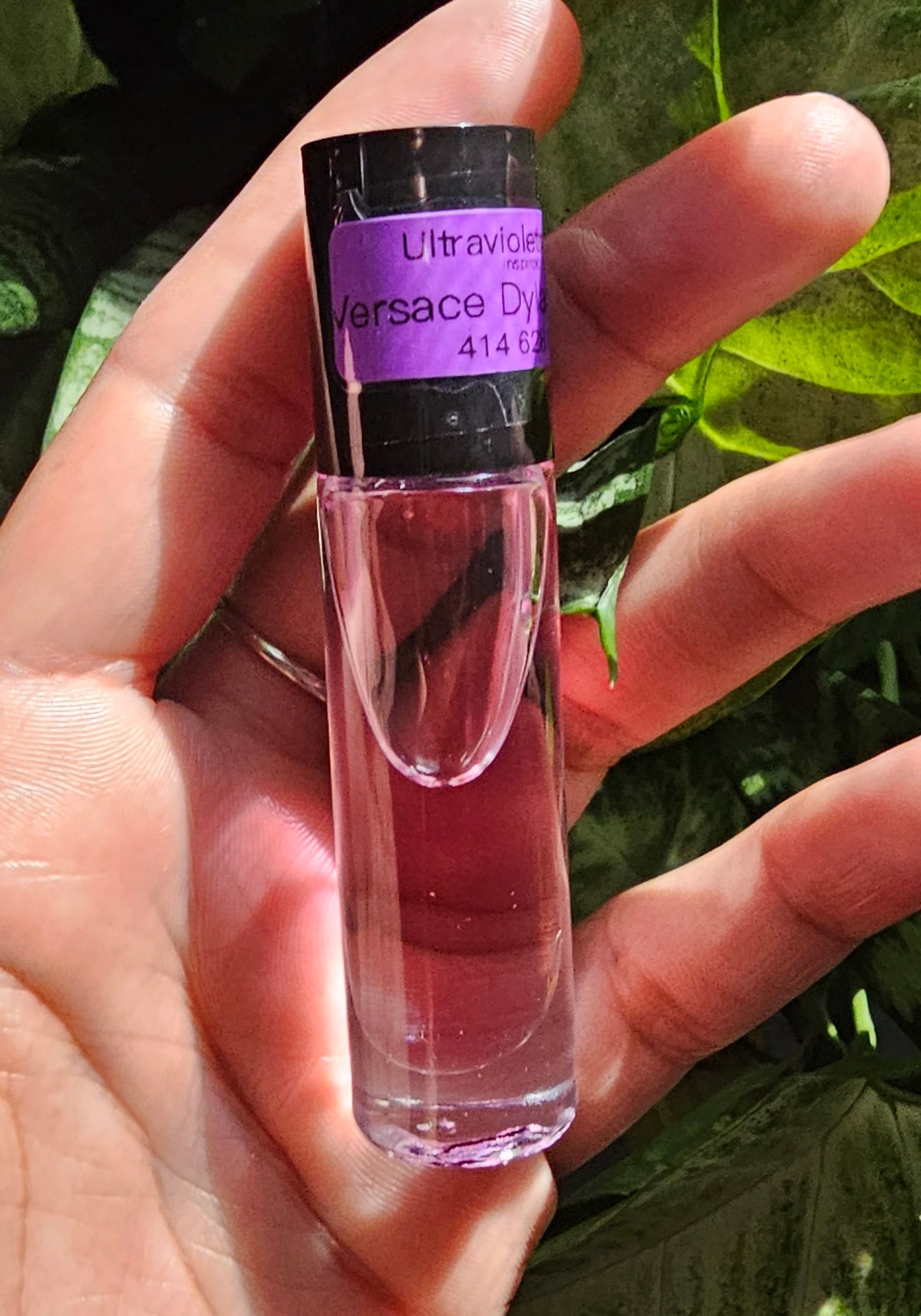 Versace Dylan Purple Type Fragrance Body Oil Perfume (w)