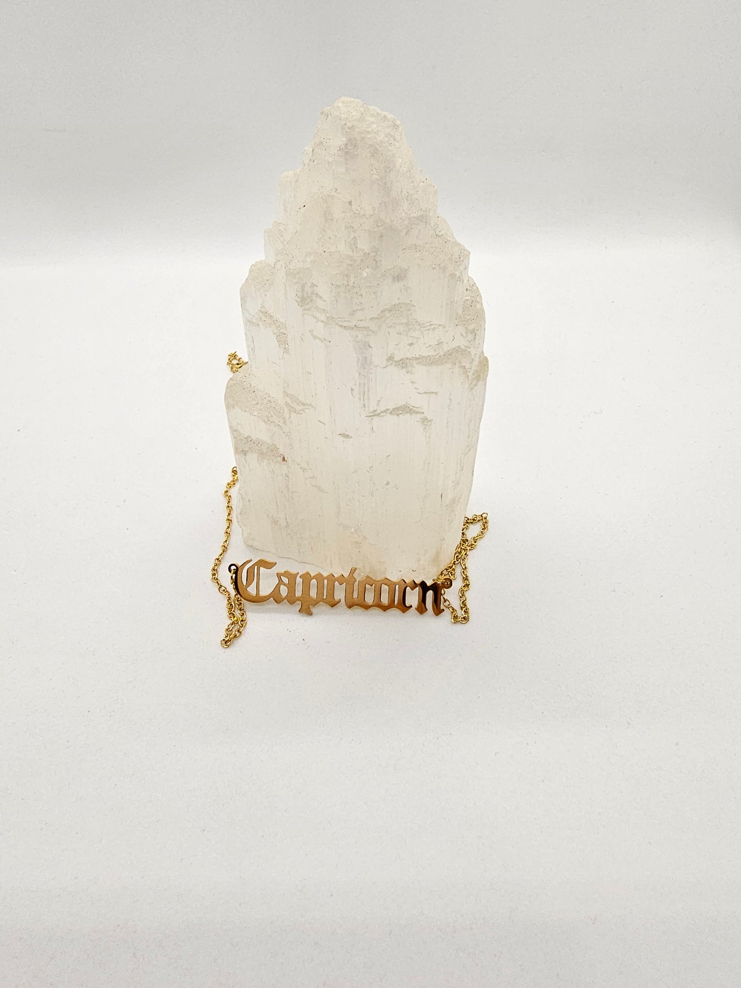 Capricorn Zodiac Necklace