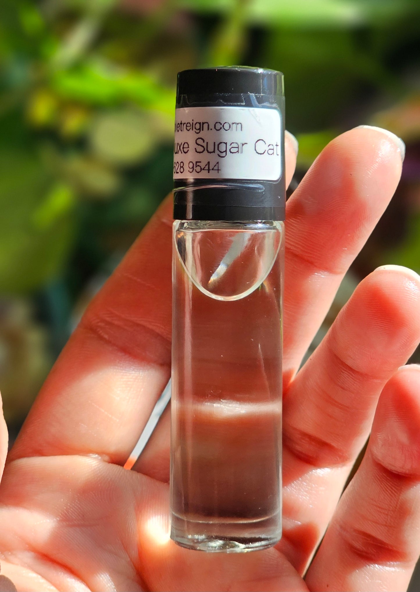 Pussy Deluxe Sugar Cat Type Fragrance Body Oil (w)