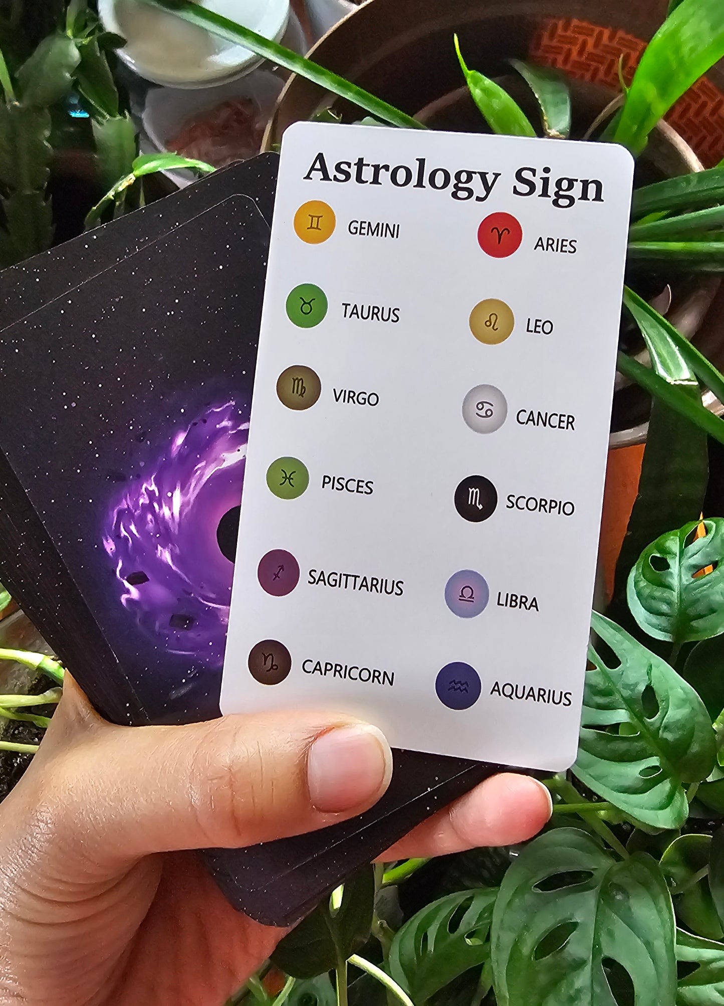 Beginner Tarot Card Deck