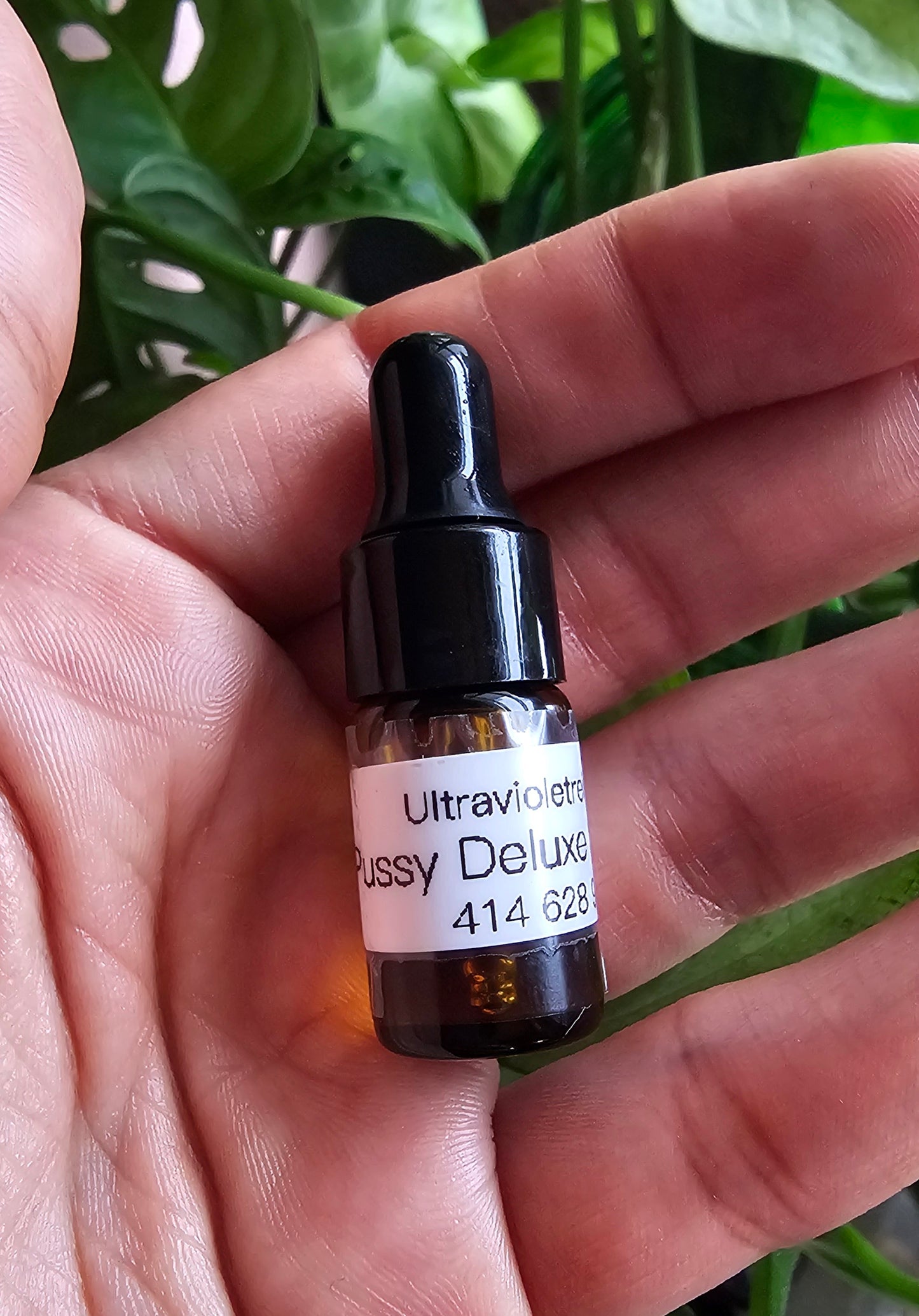 Pussy Deluxe Sugar Cat Type Fragrance Body Oil (w)