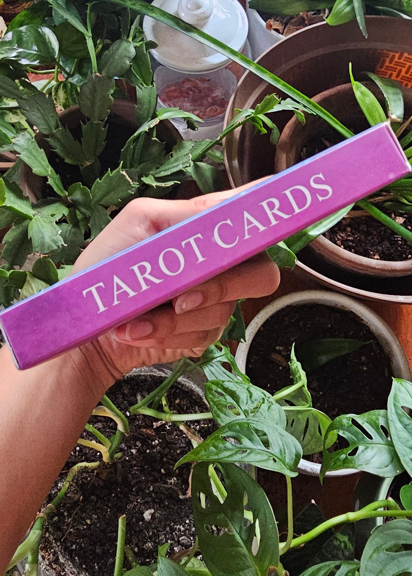 Beginner Tarot Card Deck