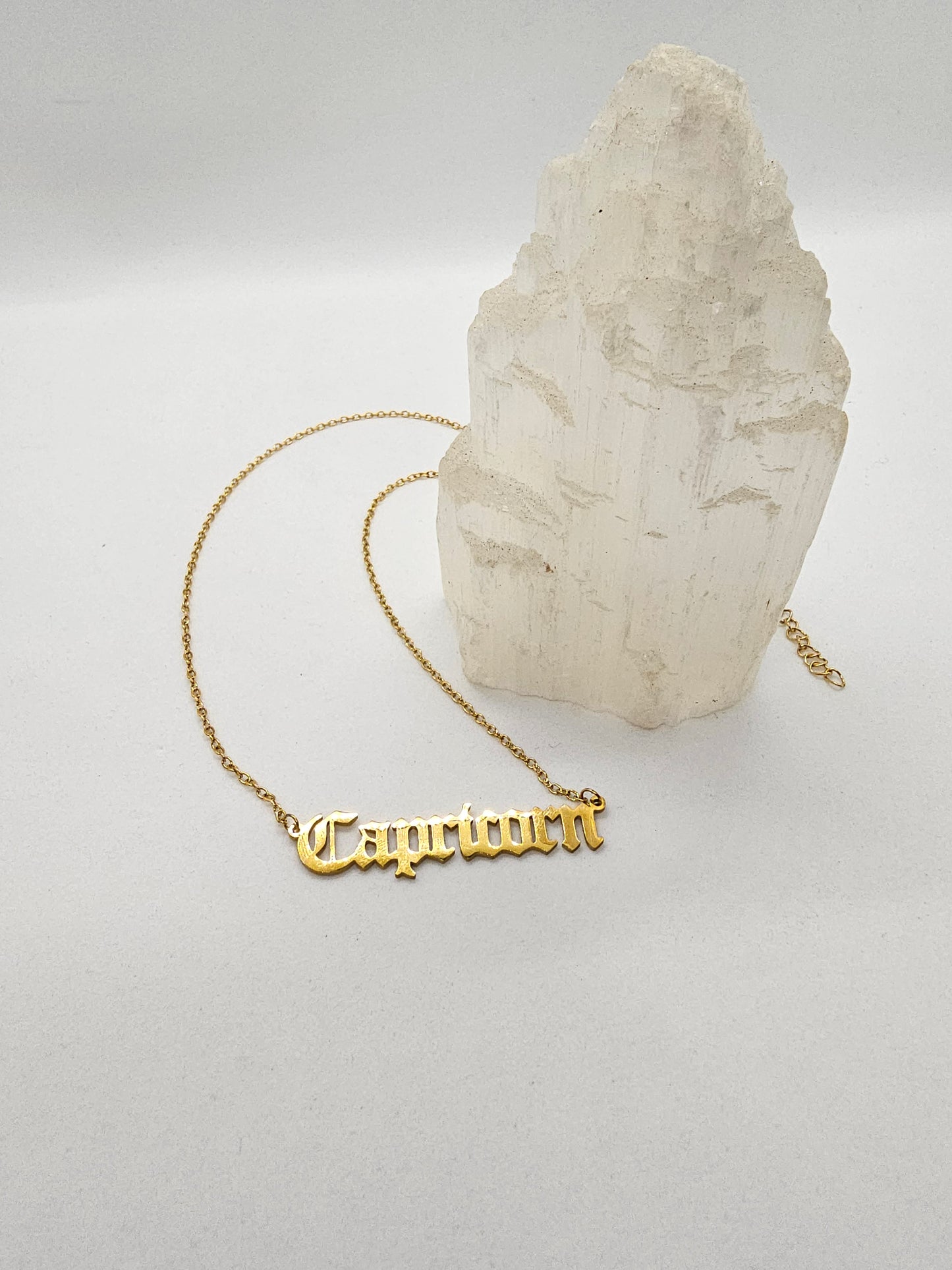 Capricorn Zodiac Necklace